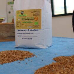 FARINE DI GRANO TENERO DA 5 KG
