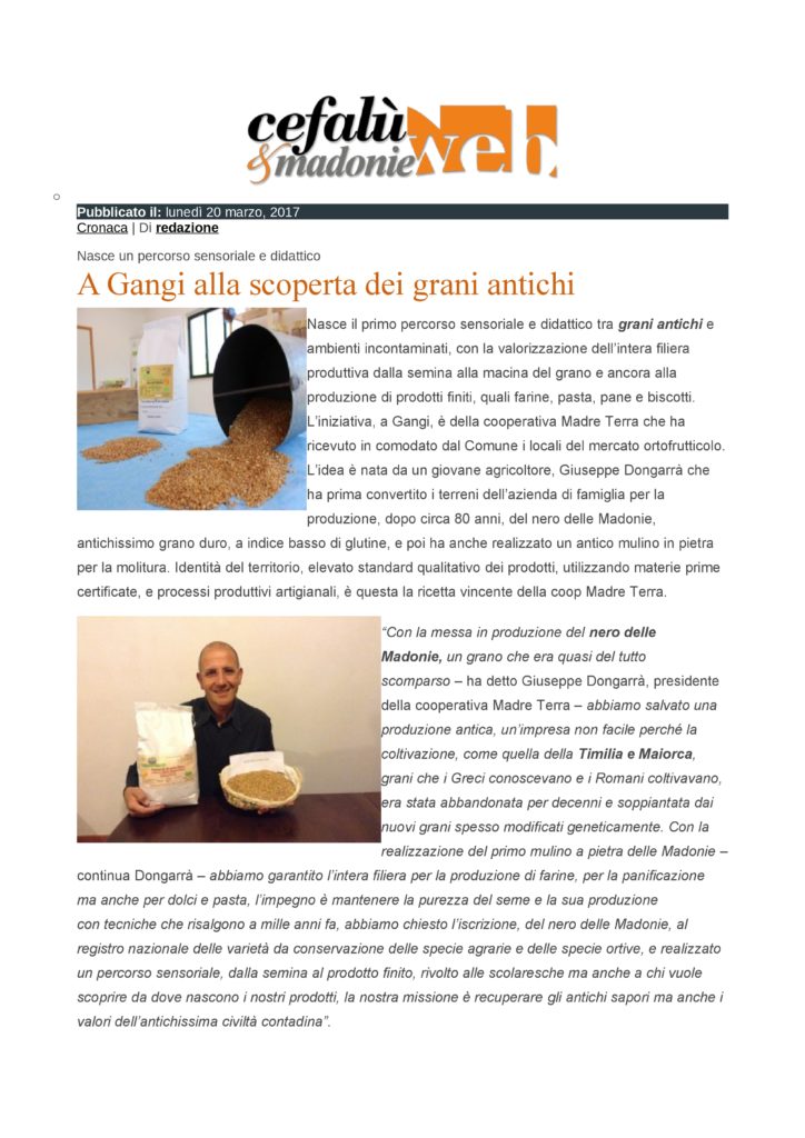cefaluweb