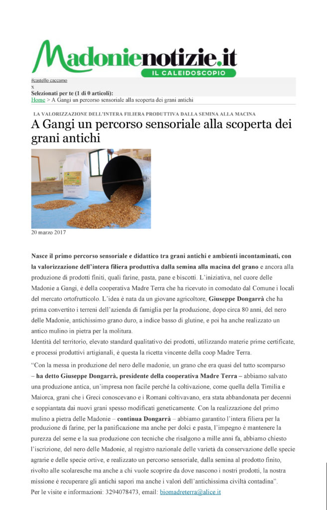 madonienotizie 001