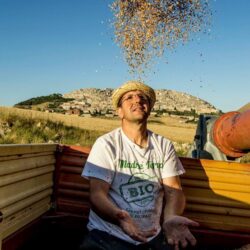 FARINE DI GRANO TENERO DA 1 KG