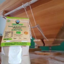 Farina di Grano Tenero Antico Siciliano BIO Maiorca molita a pietra